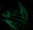 latest posts
